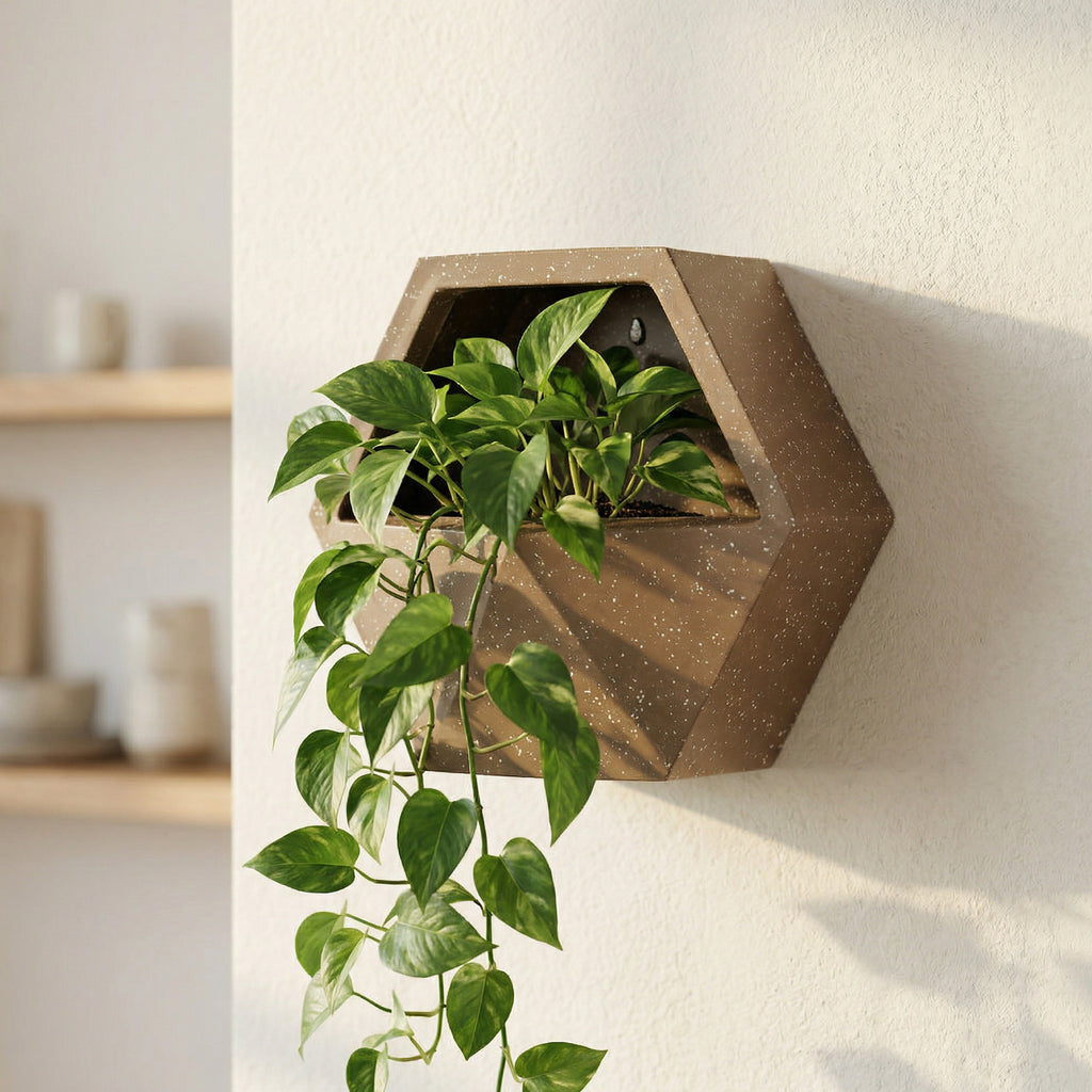 Hexagonal Wall Mount Planter