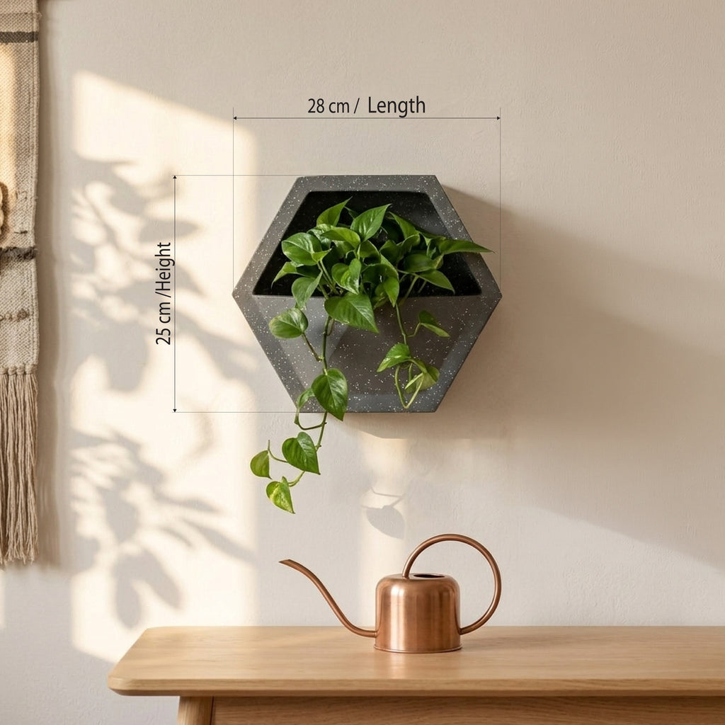 Hexagonal Wall Mount Planter