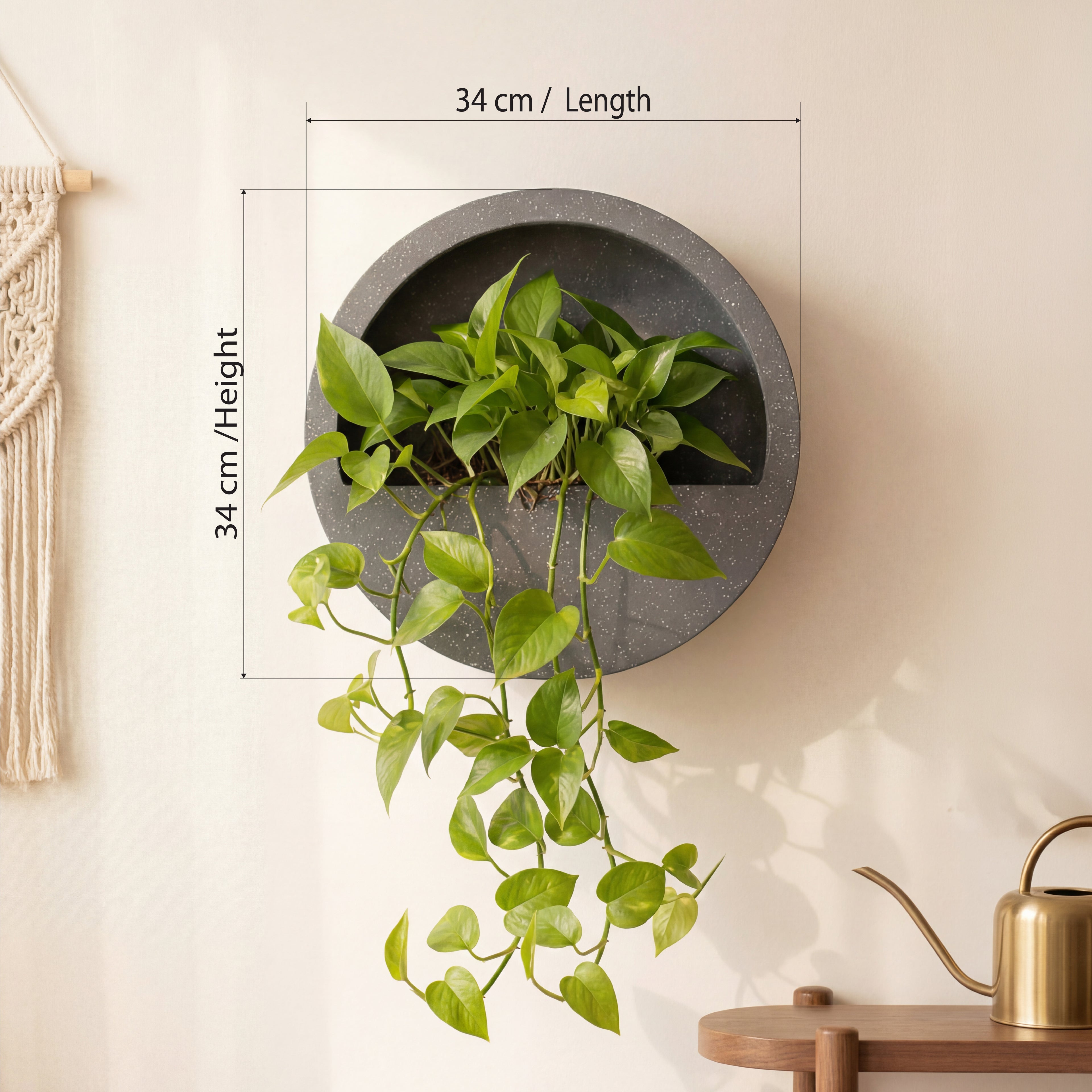 Half Moon Wall Mount Planter