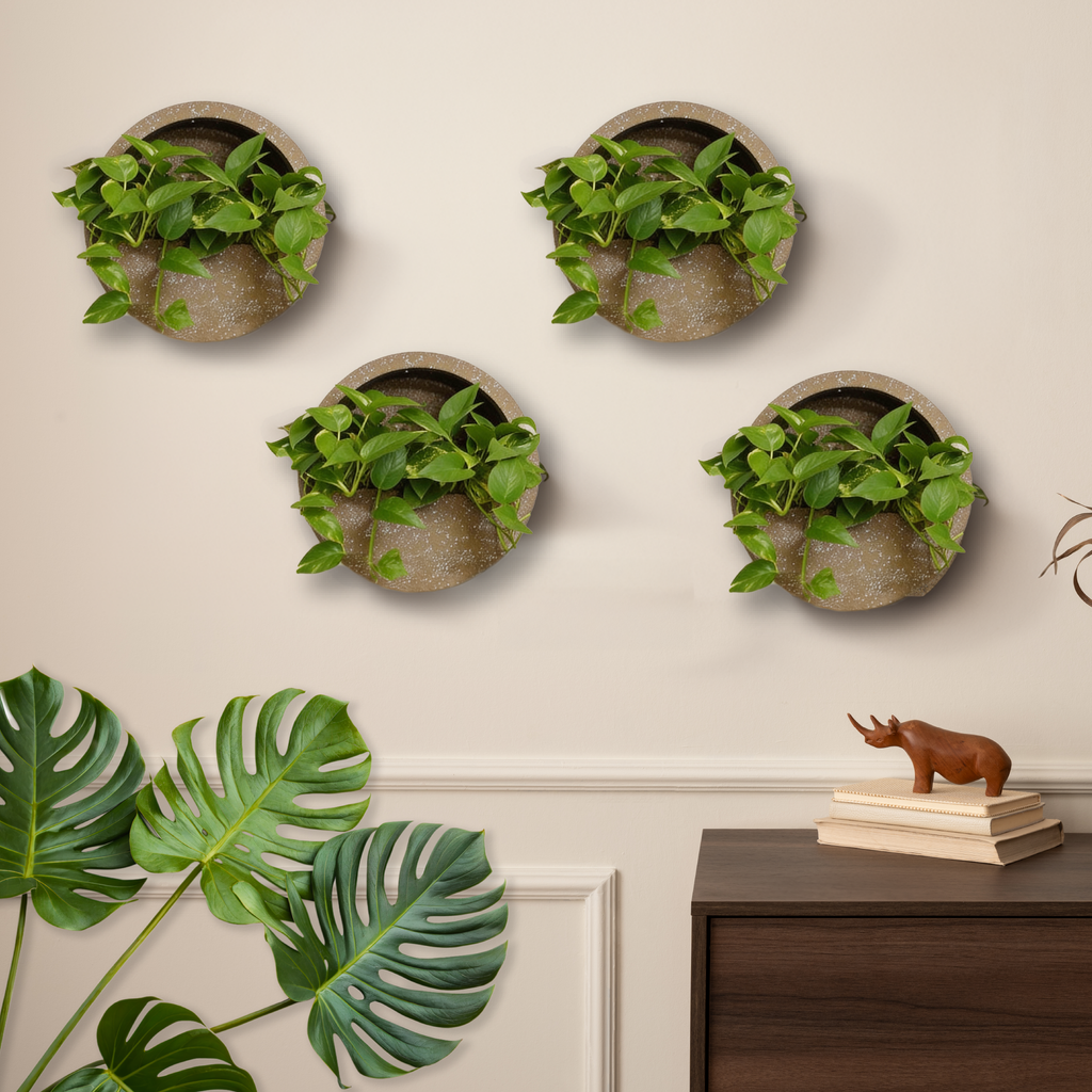 Full Moon Wall Mount Planter