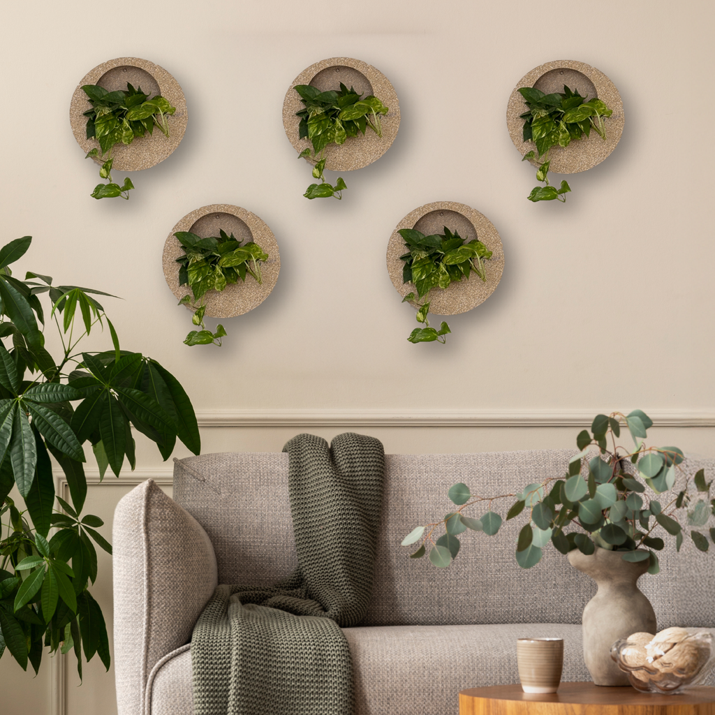Full Moon Wall Mount Planter