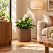 Roto Molded Planters - Round - Chocolatestone