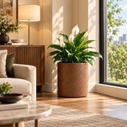 Roto Molded Planters - Round - Chocolatestone