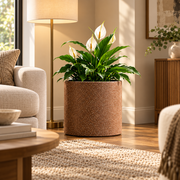 Roto Molded Planters - Round - Chocolatestone