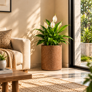 Roto Molded Planters - Round - Chocolatestone