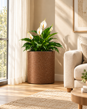 Roto Molded Planters - Round - Chocolatestone