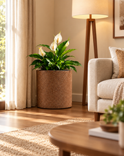 Roto Molded Planters - Round - Chocolatestone
