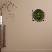 Full Moon Wall Mount Planter__Chocolatestone