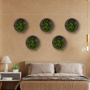 Full Moon Wall Mount Planter 2__Chocolatestone