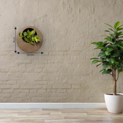 Full Moon Wall Mount Planter__Coffeestone