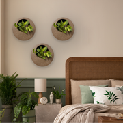 Full Moon Wall Mount Planter 1__Coffeestone