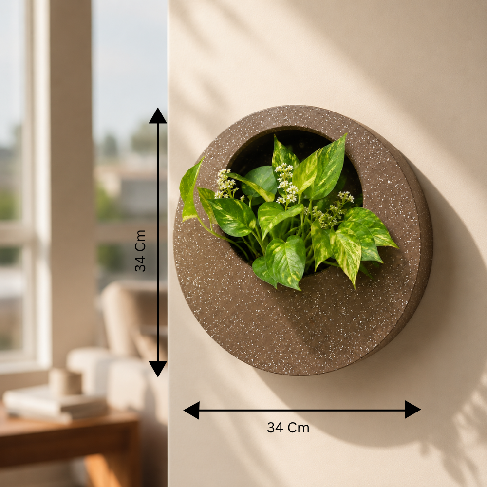 Full Moon Wall Mount Planter Coffeestone