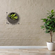 Full Moon Wall Mount Planter__Greystone