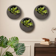 Full Moon Wall Mount Planter 1__Greystone