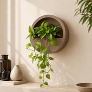 Half Moon Wall Mount Planter - Coffeestone