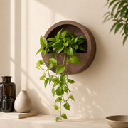 Half Moon Wall-Mount Planter – Chocolatestone