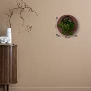 Full Moon Wall Mount Planter__Redstone