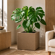 Roto Molded Planter - Square__Coffeestone