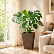 Roto Molded Planter - Vertical__Chocolatestone