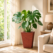 Roto Molded Planter - Vertical__Redstone