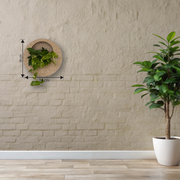 Full Moon Wall Mount Planter__Sandstone