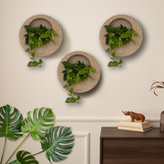 Full Moon Wall Mount Planter 1__Sandstone