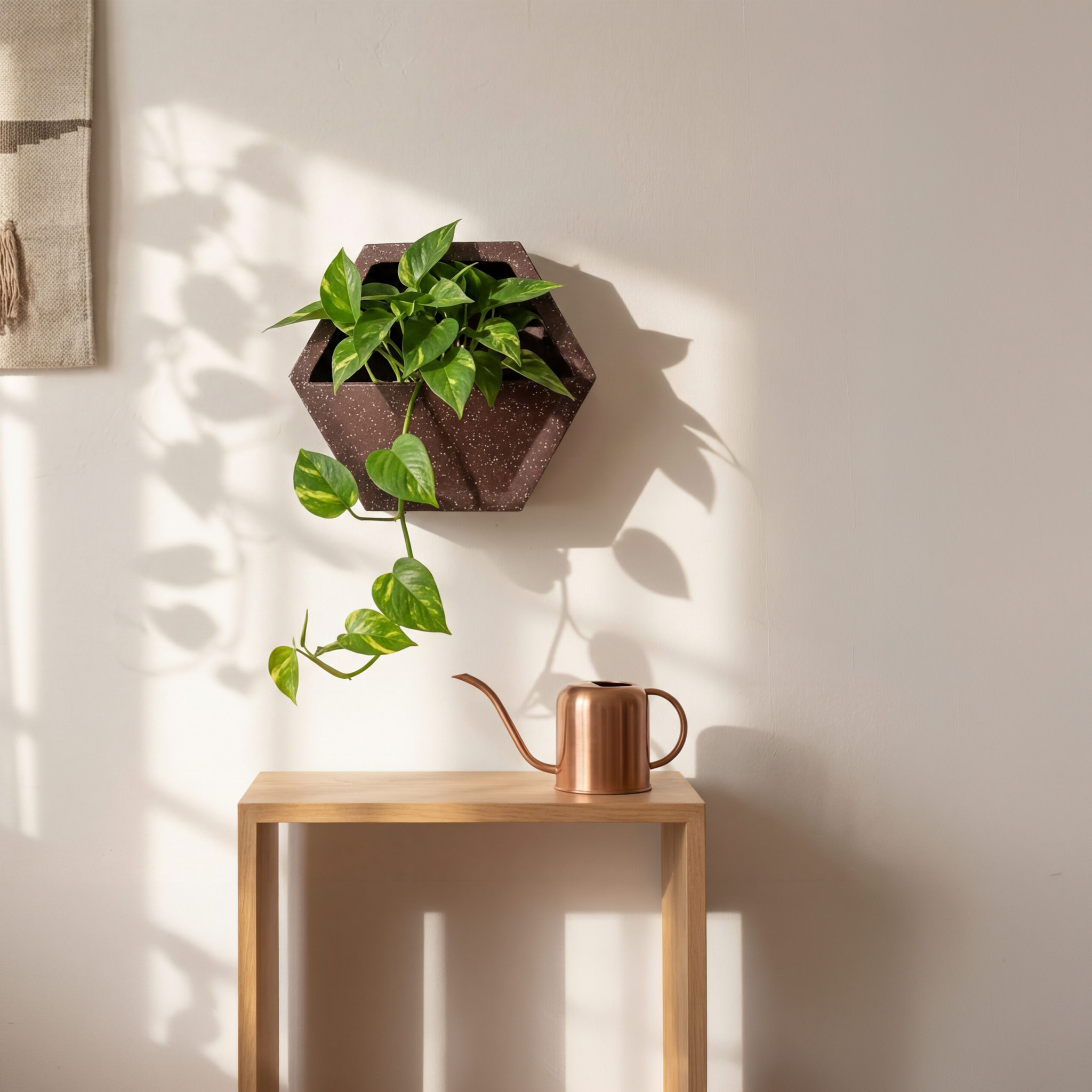 Hexagonal Wall Mount Planter