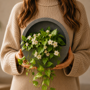 Half Moon Wall Mount Planter - Greystone